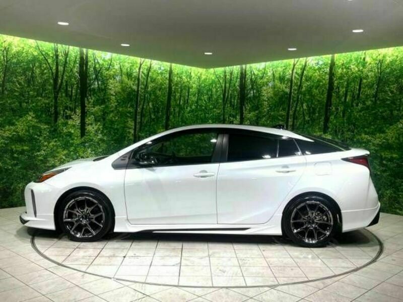 PRIUS-19