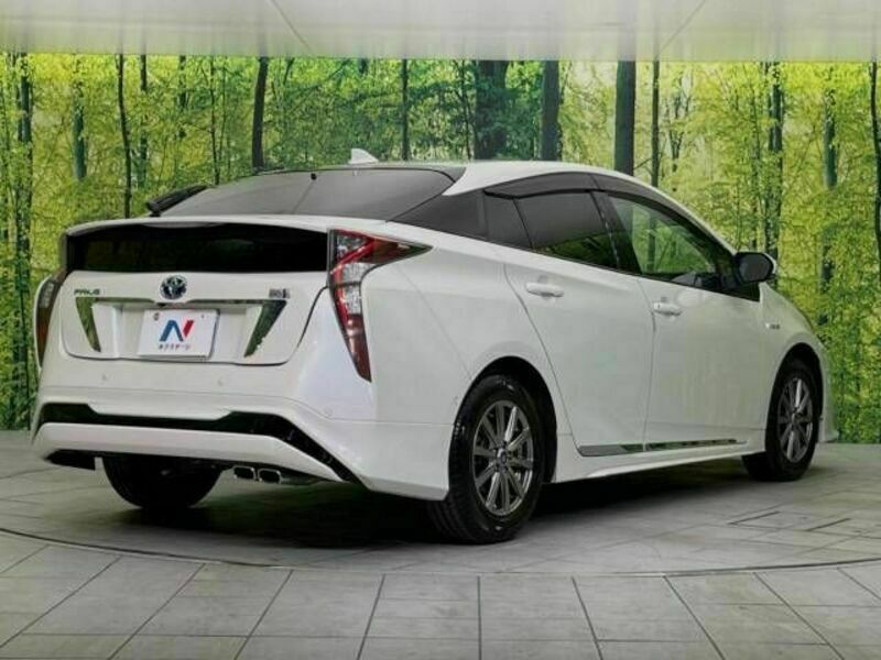 PRIUS-17