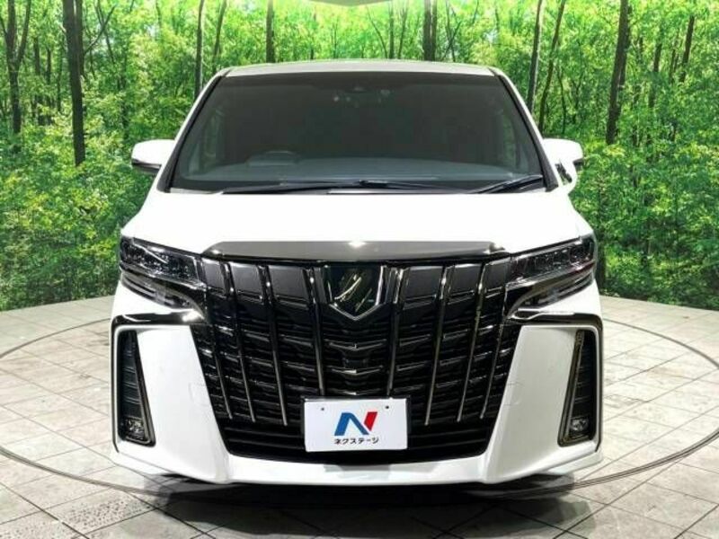 ALPHARD-15