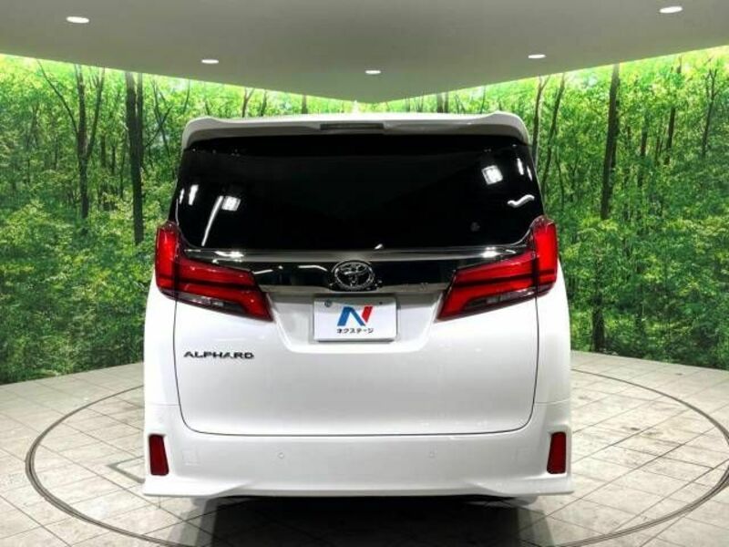 ALPHARD-16