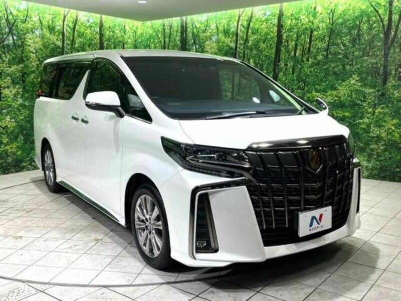 ALPHARD-17