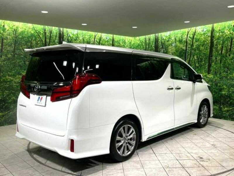 ALPHARD-18