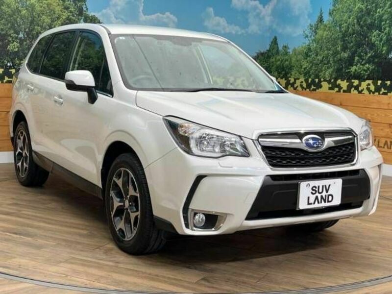 FORESTER-16