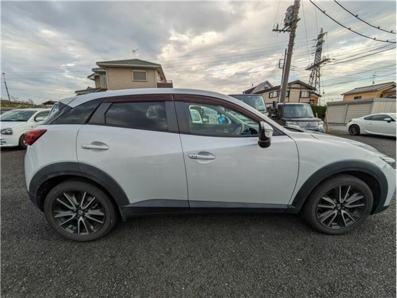 CX-3-8