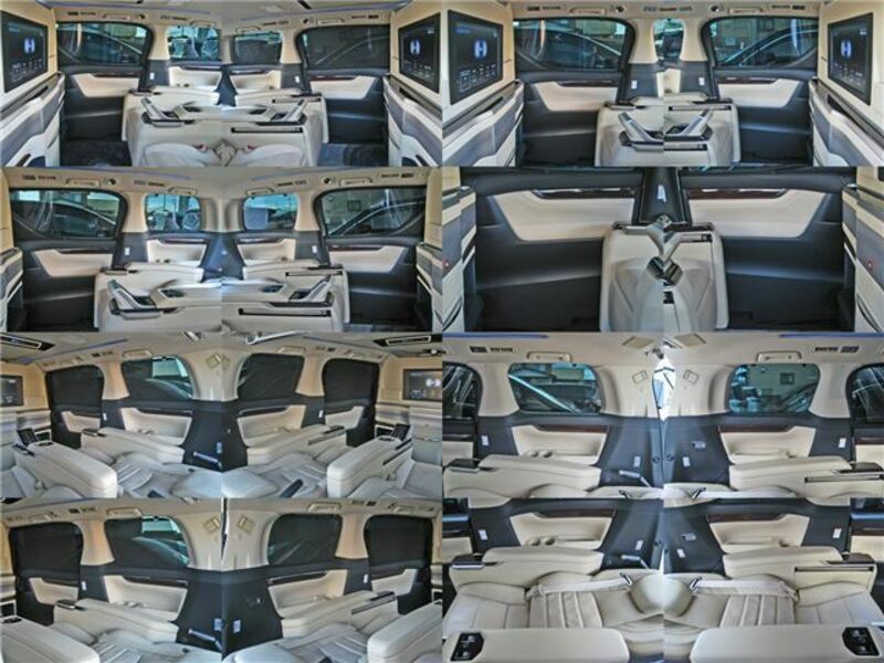 ALPHARD-48