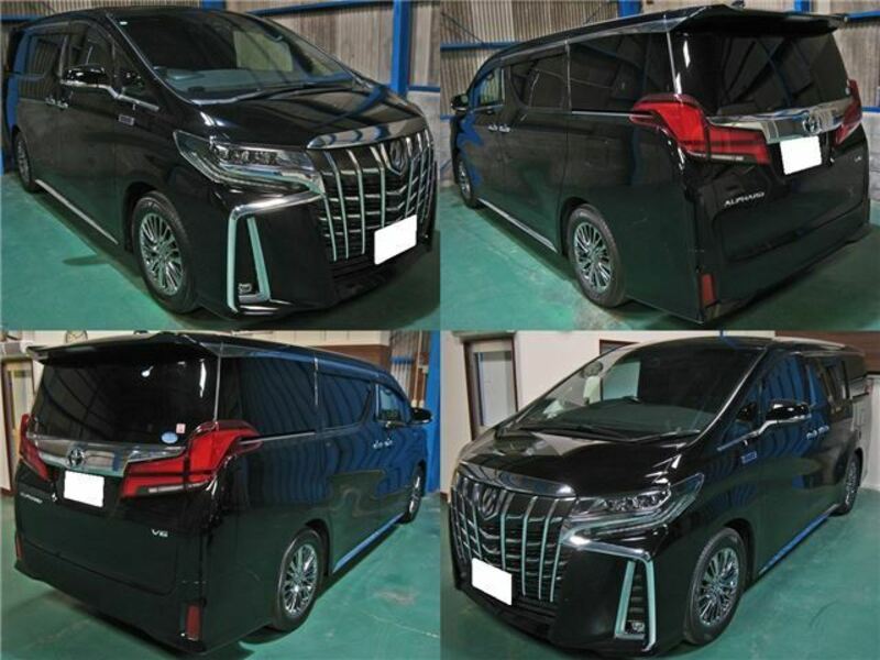 ALPHARD-1