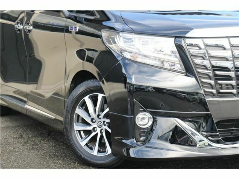 ALPHARD-3