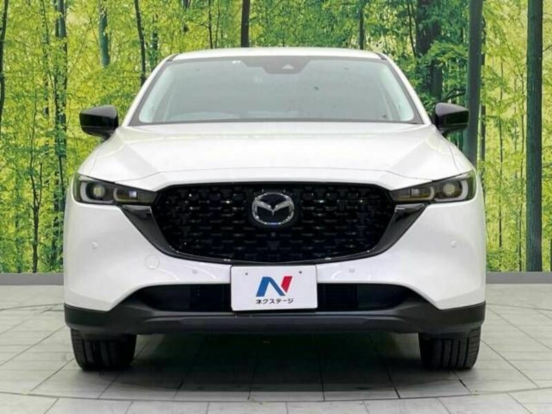 CX-5-14