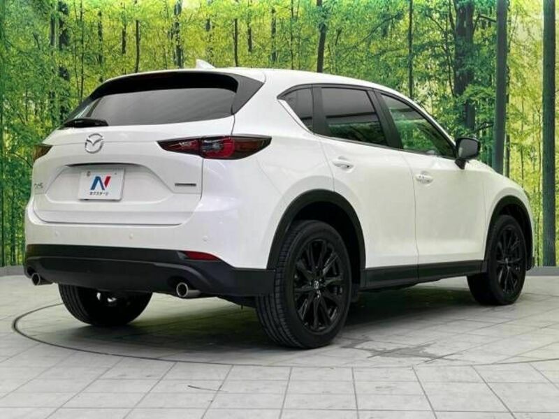 CX-5-17