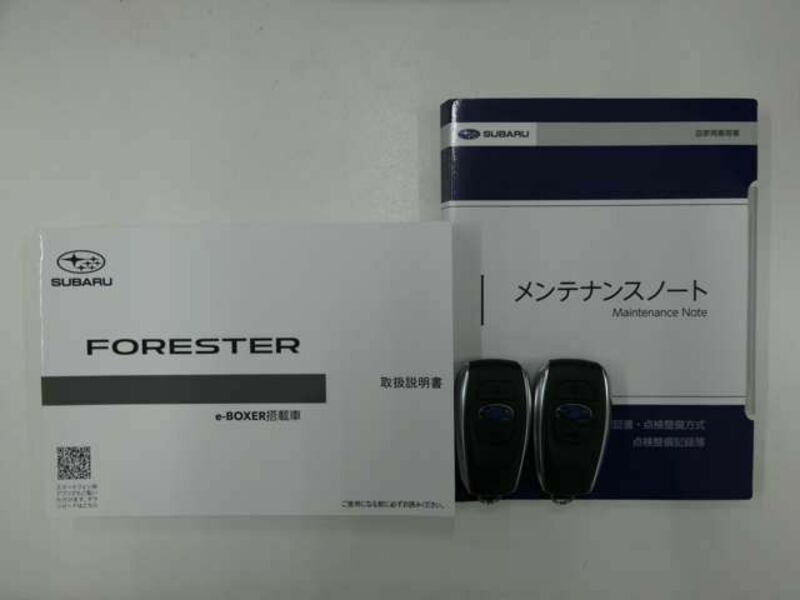 FORESTER-28