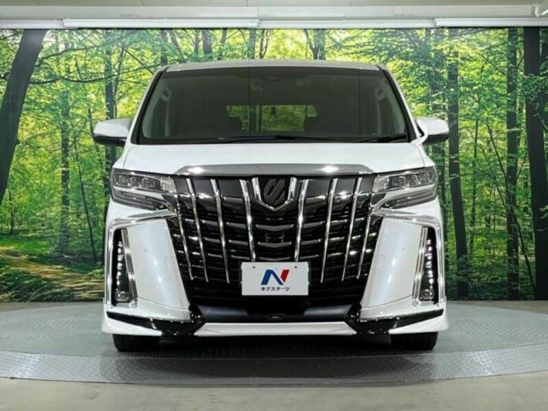 ALPHARD-15