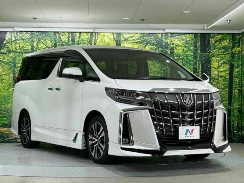 ALPHARD-17