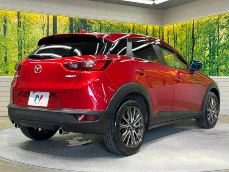 CX-3-17