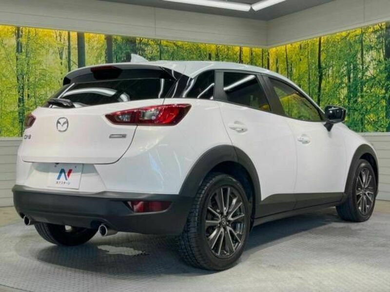 CX-3-17