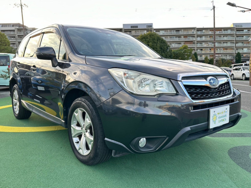 FORESTER-3