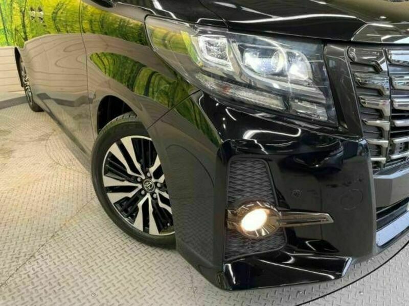 ALPHARD-13