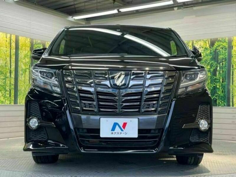 ALPHARD-15