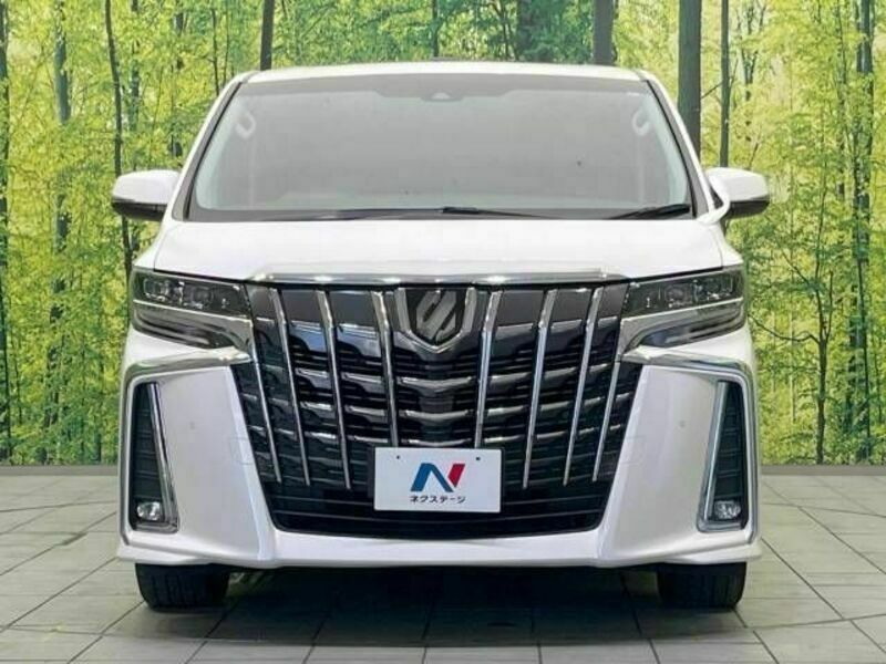 ALPHARD-16