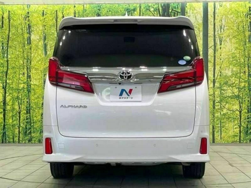 ALPHARD-17