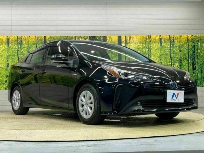 PRIUS-16