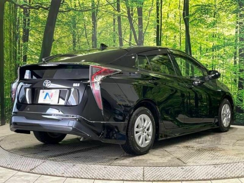 PRIUS-17