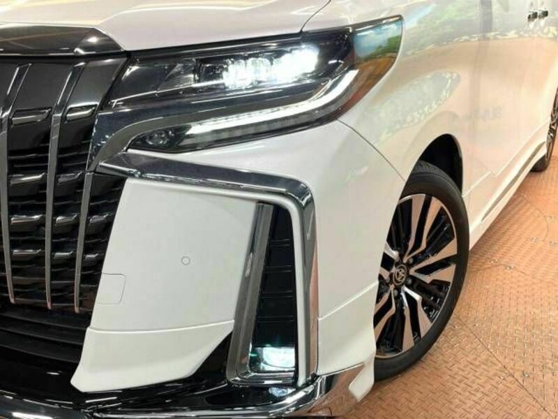 ALPHARD-14