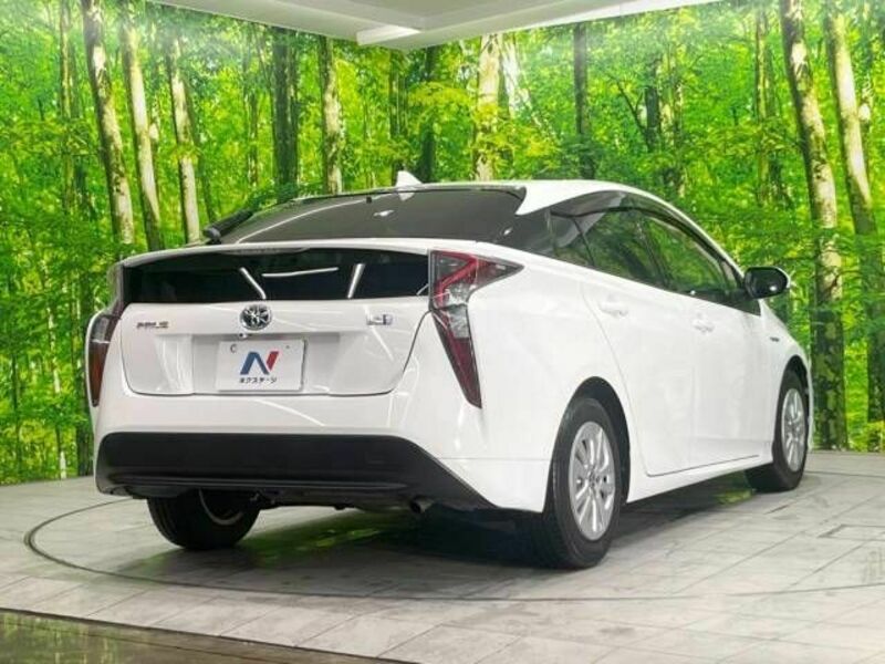 PRIUS-17