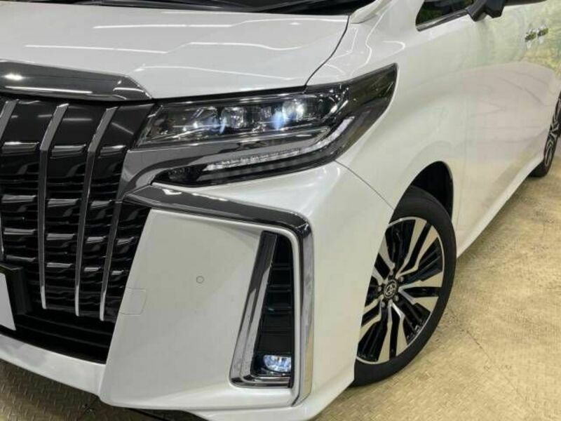 ALPHARD-13