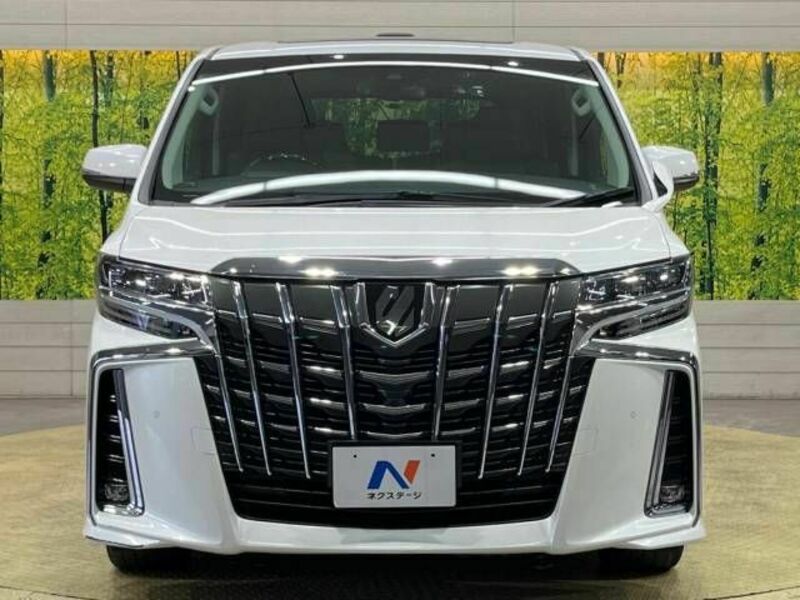 ALPHARD-15