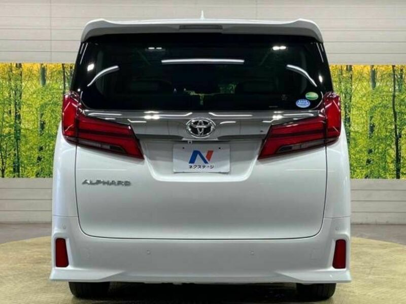 ALPHARD-16