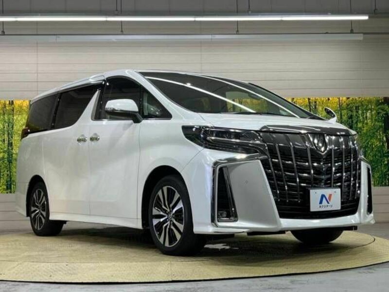 ALPHARD-17