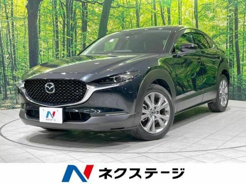 CX-30