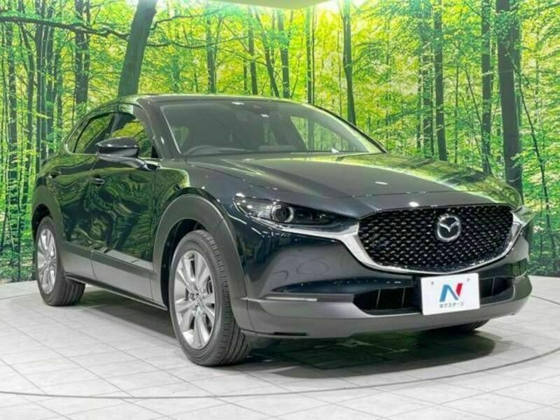 CX-30-16