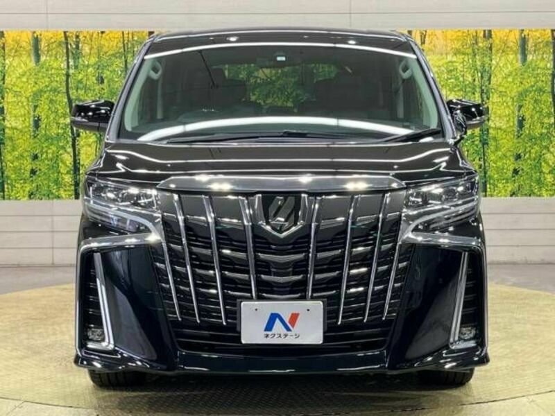 ALPHARD-15