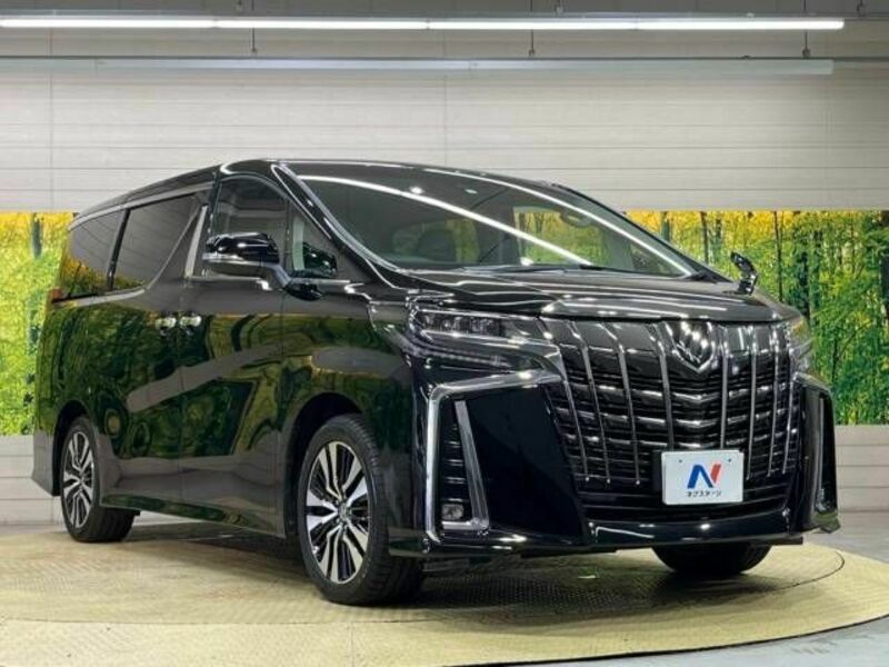 ALPHARD-17