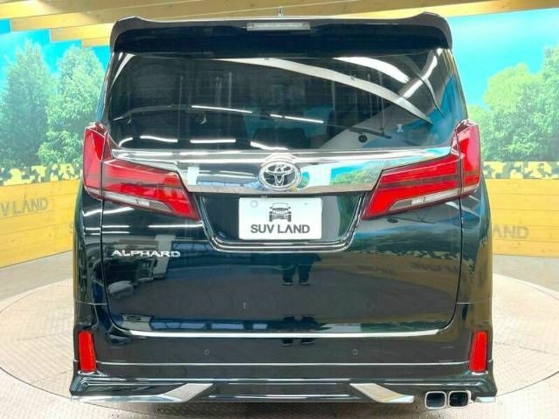 ALPHARD-15