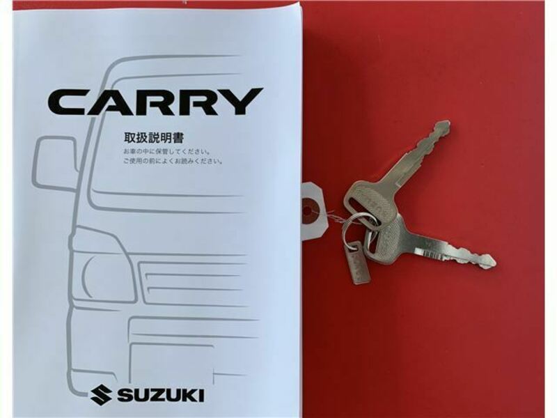 CARRY TRUCK-10