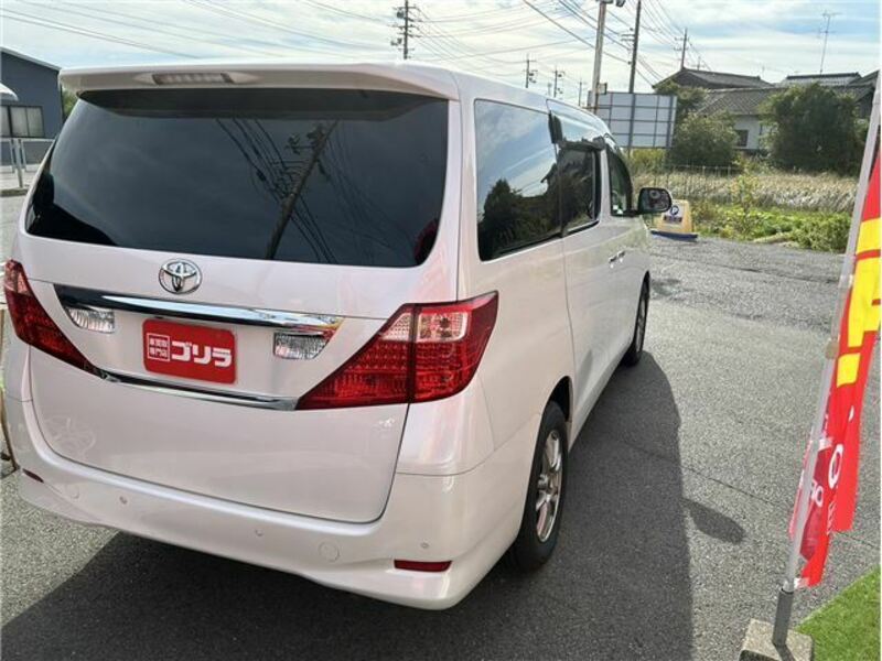 ALPHARD-1