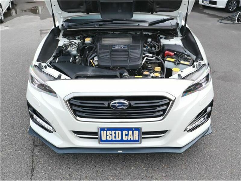 LEVORG-14