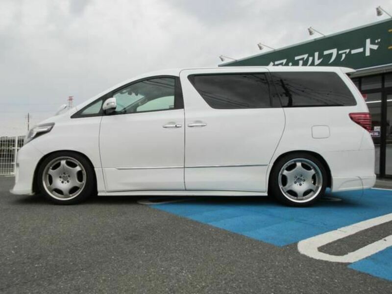 ALPHARD-10