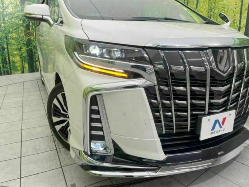 ALPHARD-13