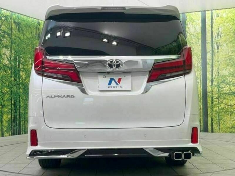 ALPHARD-16