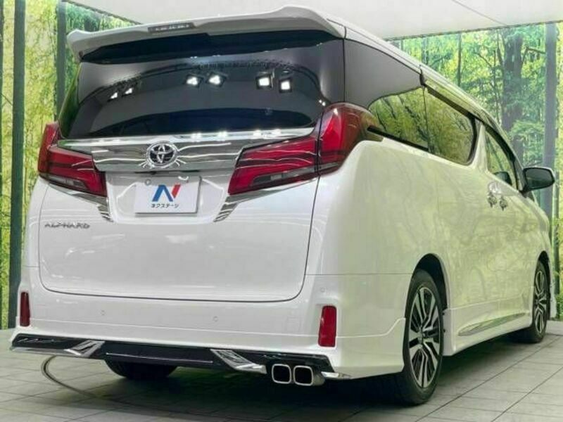 ALPHARD-18