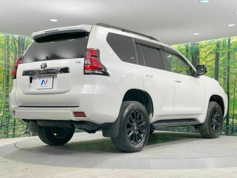 LAND CRUISER PRADO-17