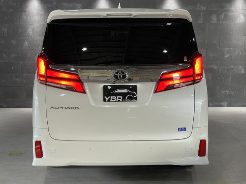 ALPHARD-6