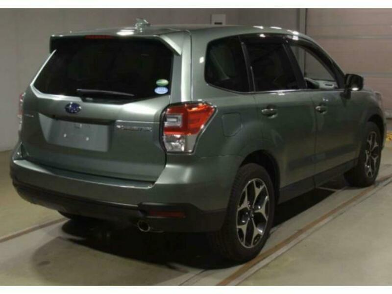 FORESTER-1