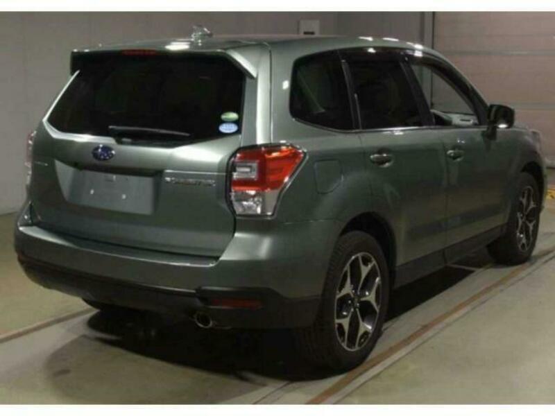 FORESTER-3