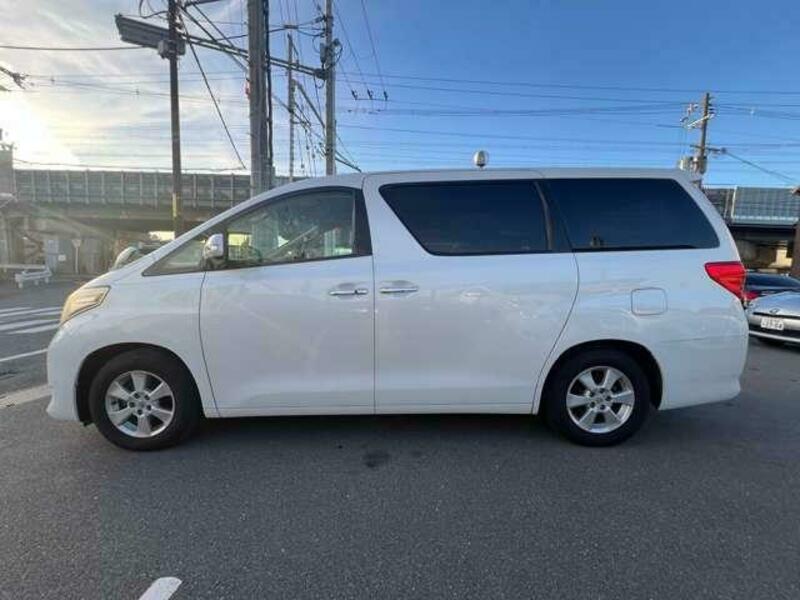 ALPHARD-15