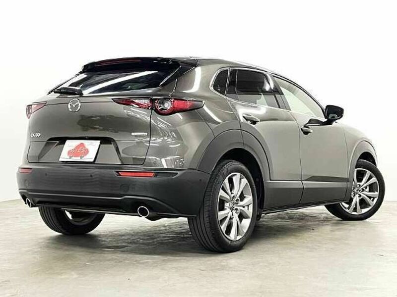 CX-30-2