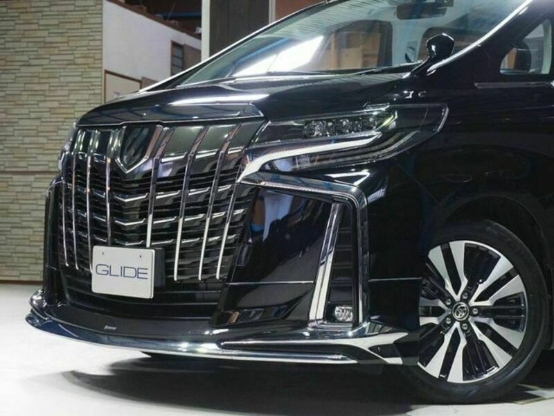 ALPHARD-6